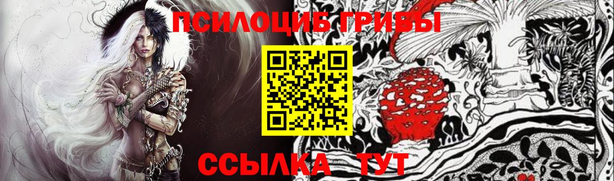 Курск  Галлюциногенные грибы Cubensis  цена наркотик  Галлюциногенные грибы ЛСД  Вход с VPN 